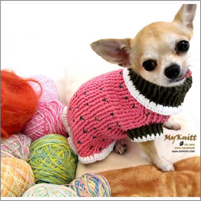 Crochet Dog Sweater For Shih Tzu