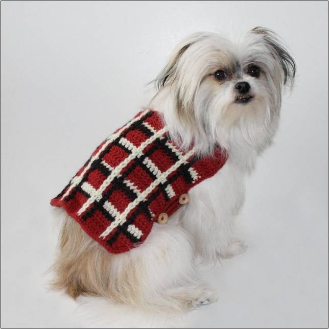 Crochet For Dogs