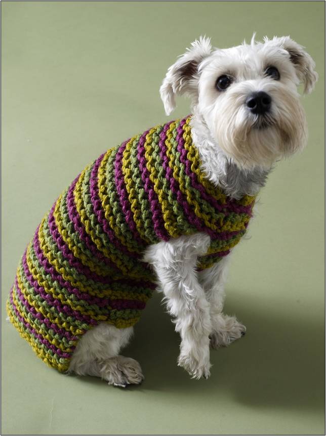 Dog Sweaters Using Tunisian Stitch