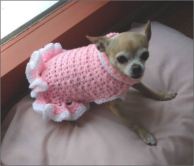 Free Patterns To Crochet An Extra Small Dog Sweater